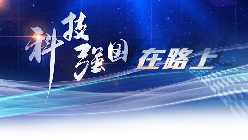 国产容器编排平台：揭秘其核心技术与市场格局